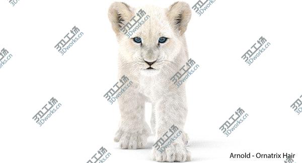 images/goods_img/20210312/3D White Baby Lion Animated, Fur/2.jpg